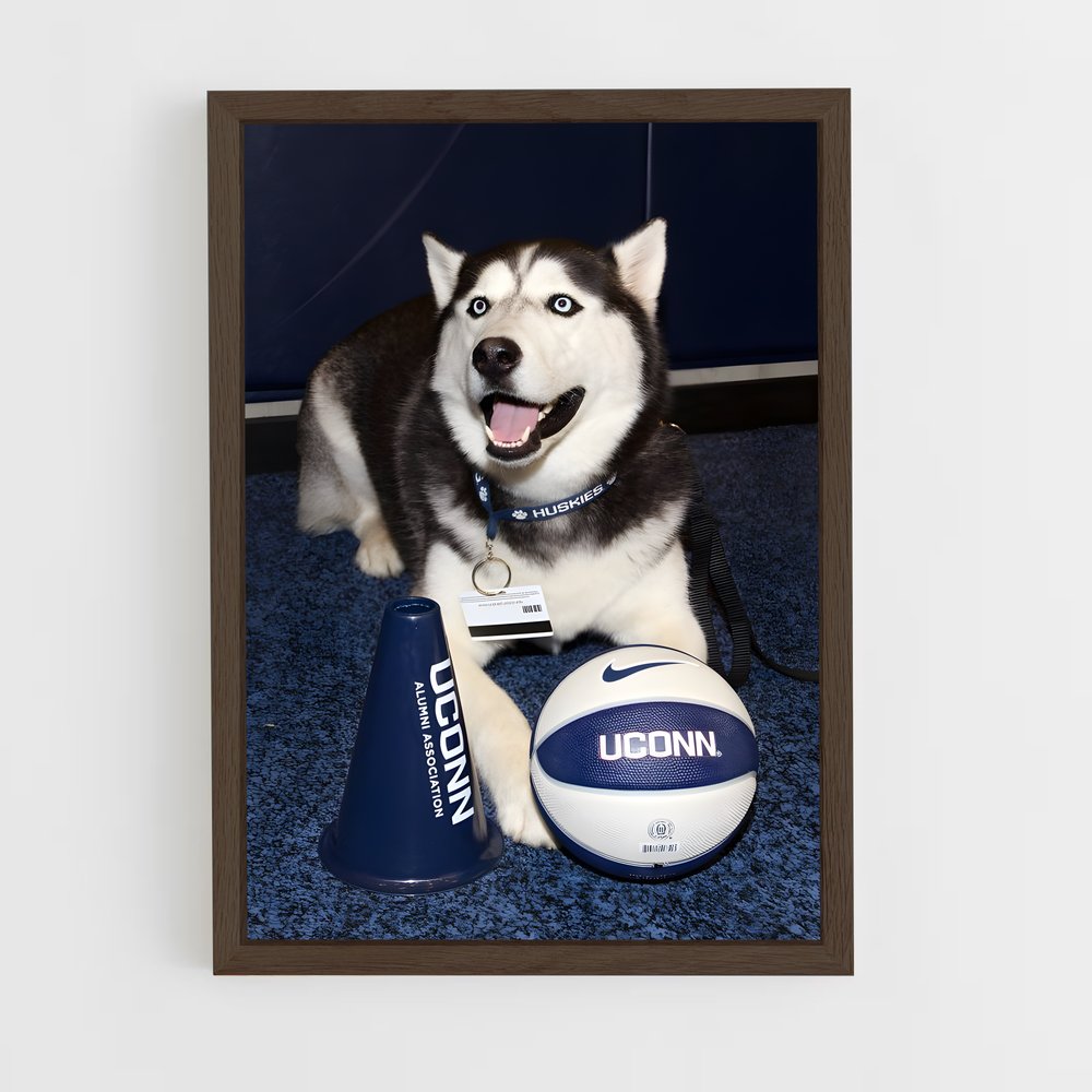 Poster Husky Touchdown – affiche Basketball (vue 5)